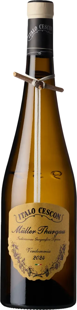 MULLER-THURGAU-20250606_Cescon-Bottiglie1545