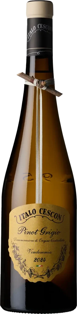 PINOT-GRIGIO-20250606_Cescon-Bottiglie1527