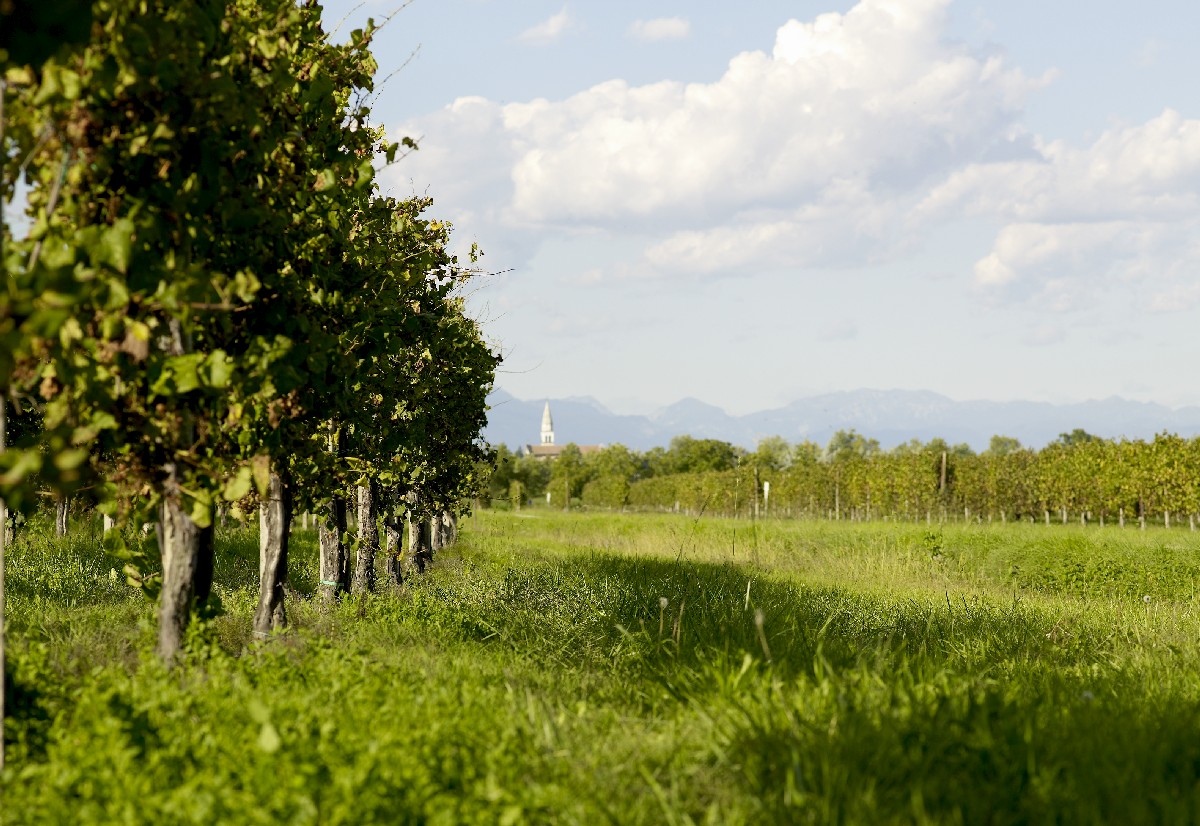 San Polo di Piave