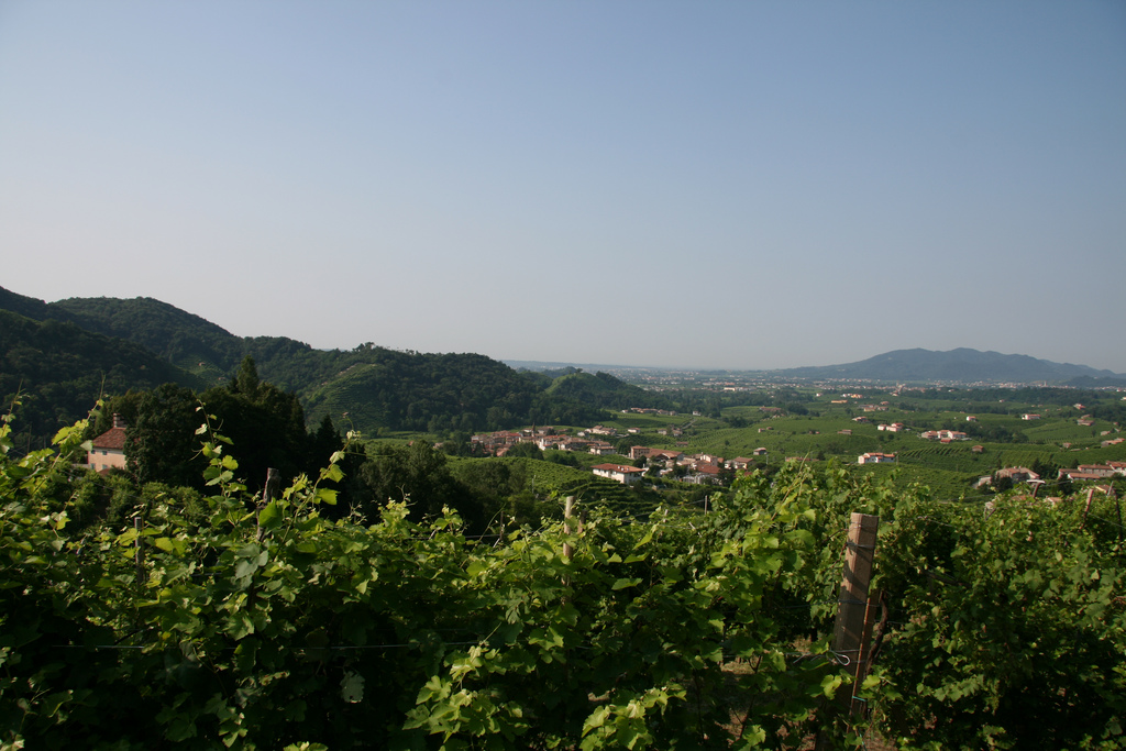 panorama delle colline di conegliano e valdobbiadene